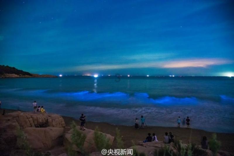精耕细作，升级破圈，掌千网络或将引领文娱新潮流