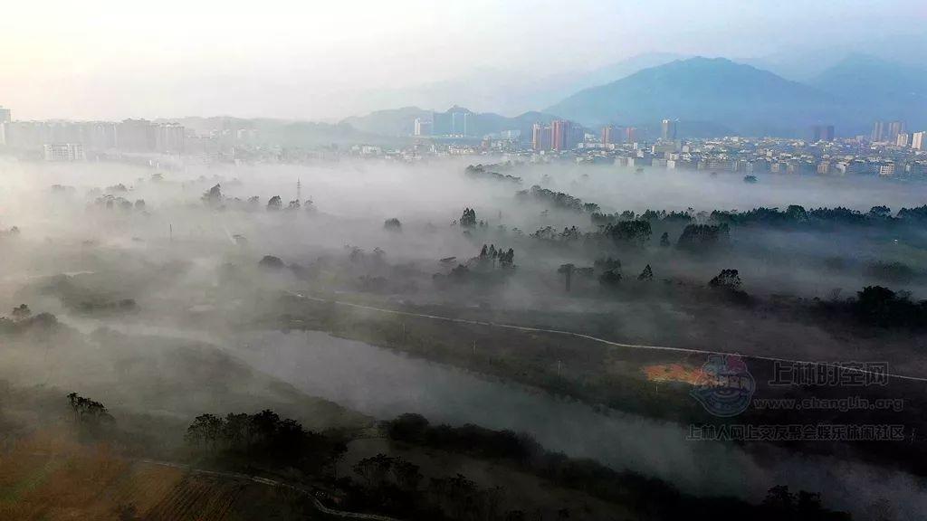 救援卷耳兔