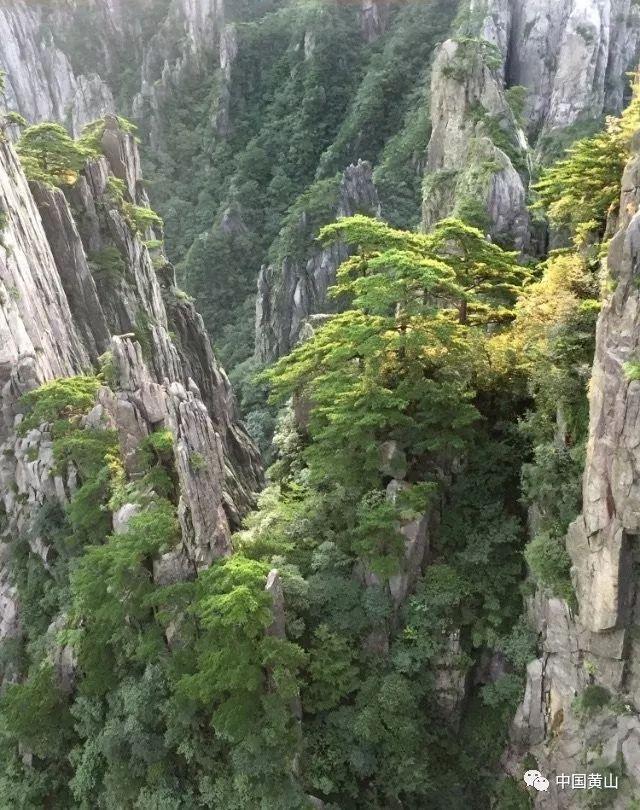怪物狂欢活动详解:自由之刃中的荣耀之战,书写传奇新篇章!