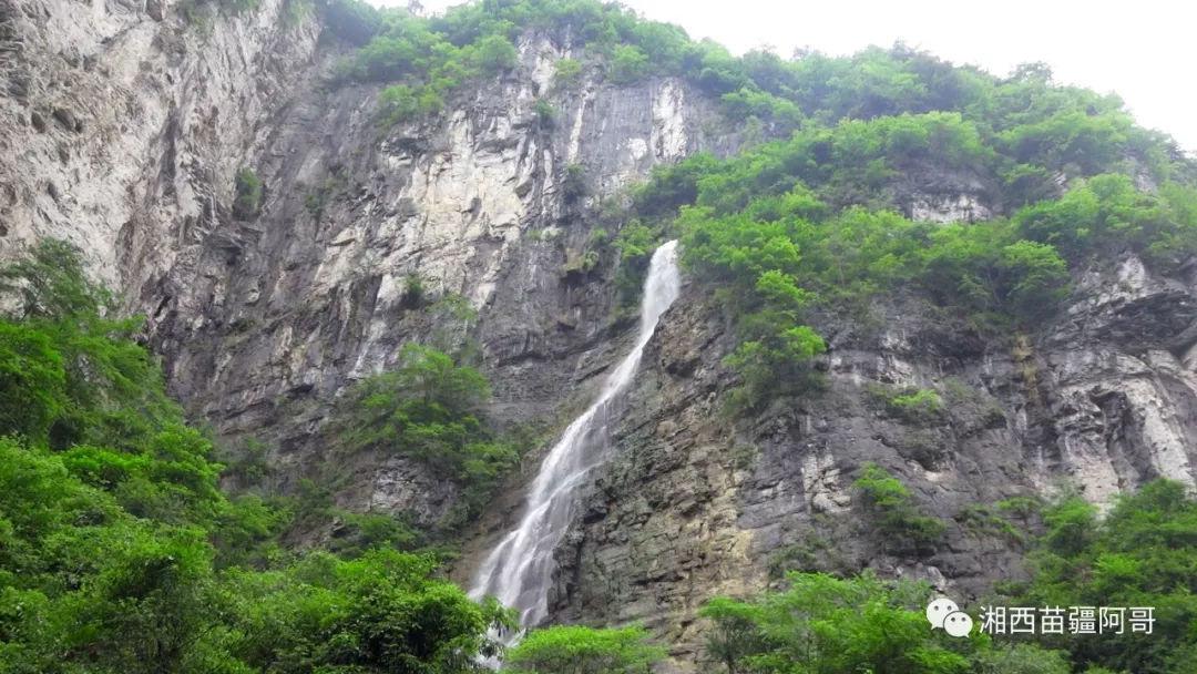 cod全自动水质监测仪