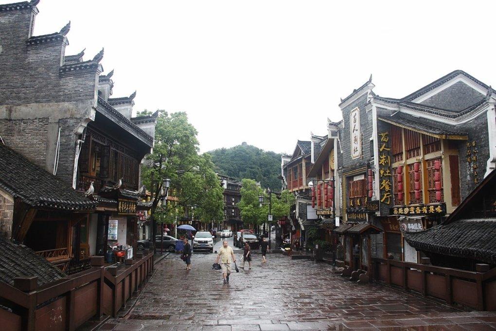 动物帮帮忙保卫家园