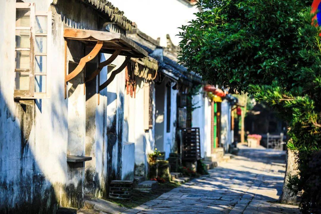 三小只僵尸的游戏时间1
